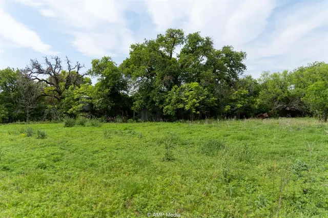 a view of outdoor space and yard