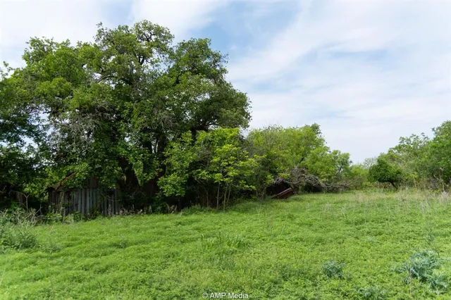a backyard of a house with lots of green space