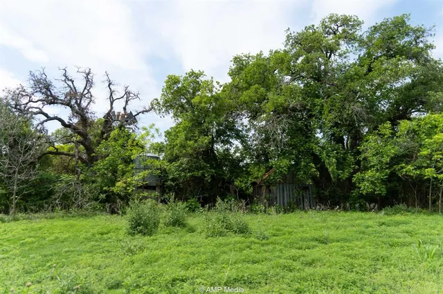 a backyard of a house with lots of green space
