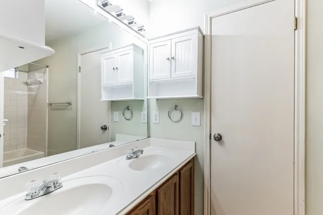 a bathroom with a sink and a mirror