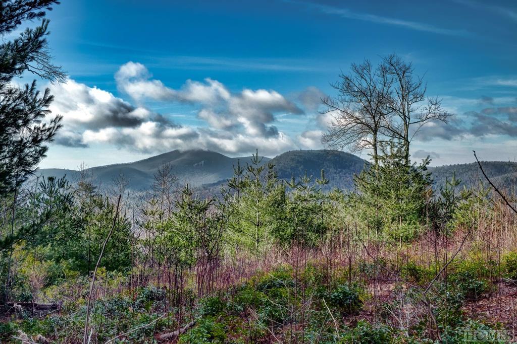 9 Blue Valley Road Highlands, NC 28741 - Photo 8 of 19 Gallery Image 8