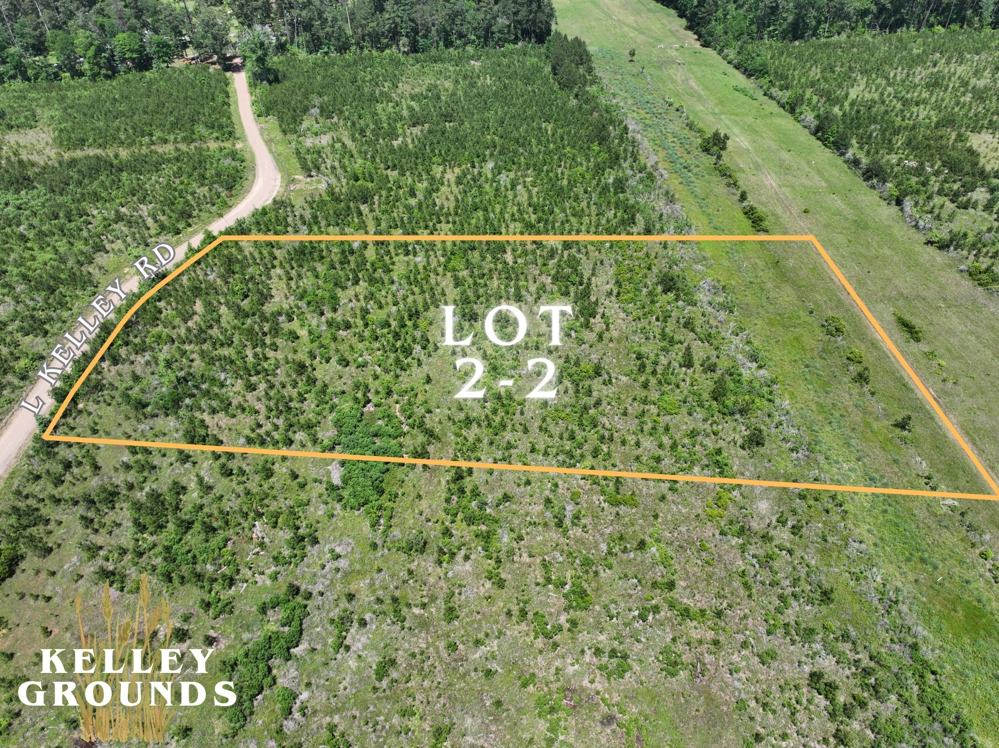 3-4 A A Kelly Road Livingston, TX 77351 - Photo 11 of 23