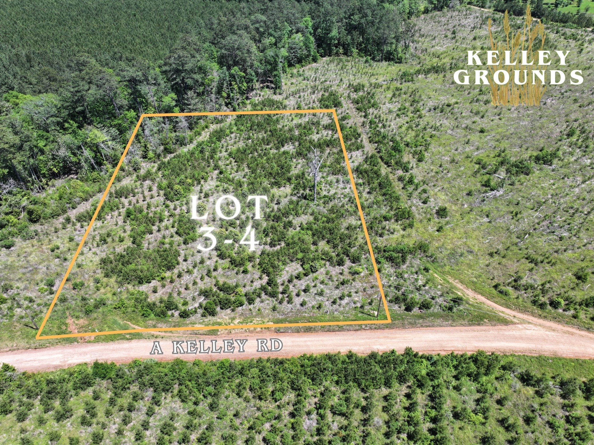 3-4 A A Kelly Road Livingston, TX 77351 - Photo 22 of 23