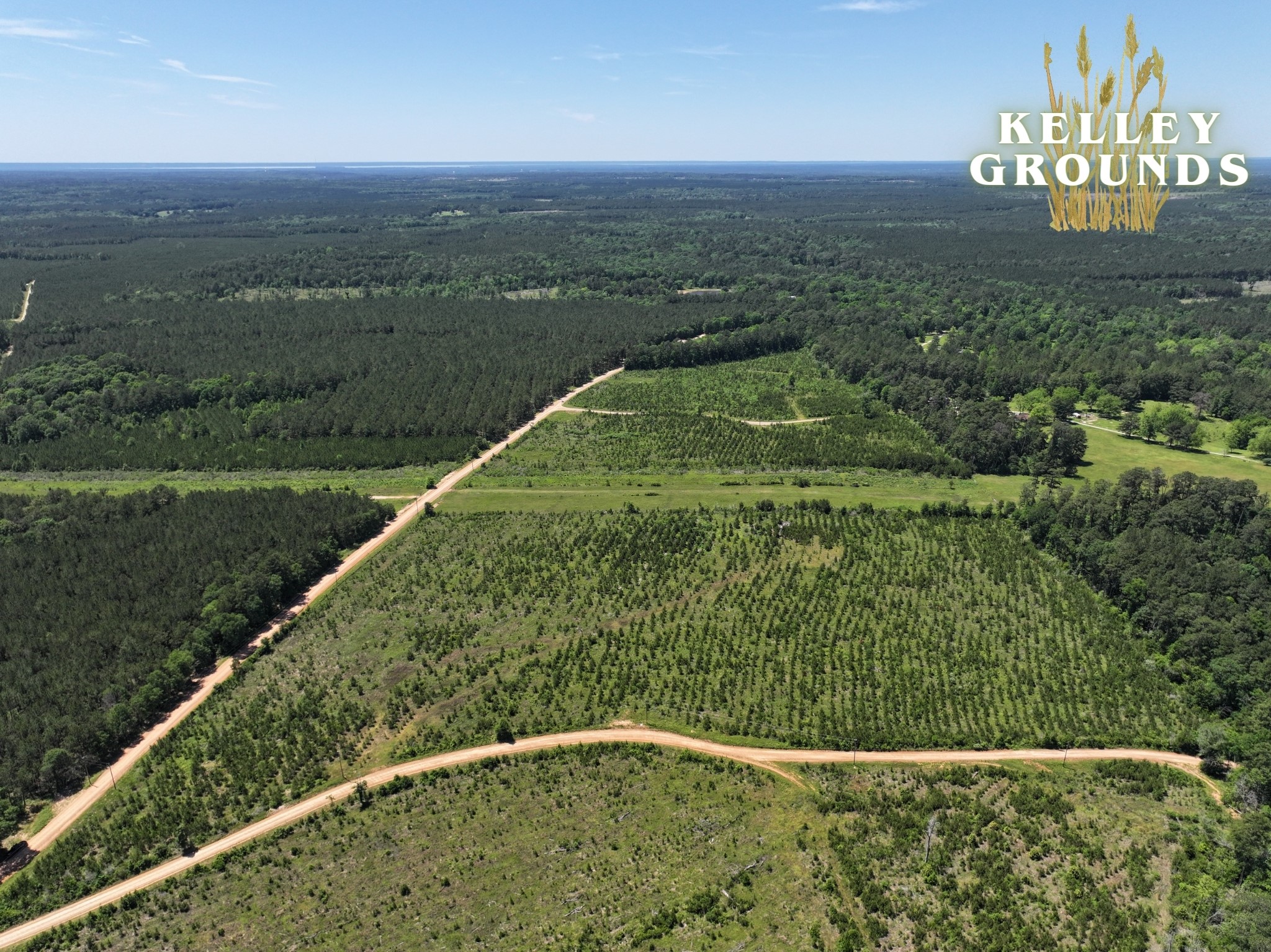 3-4 A A Kelly Road Livingston, TX 77351 - Photo 3 of 23