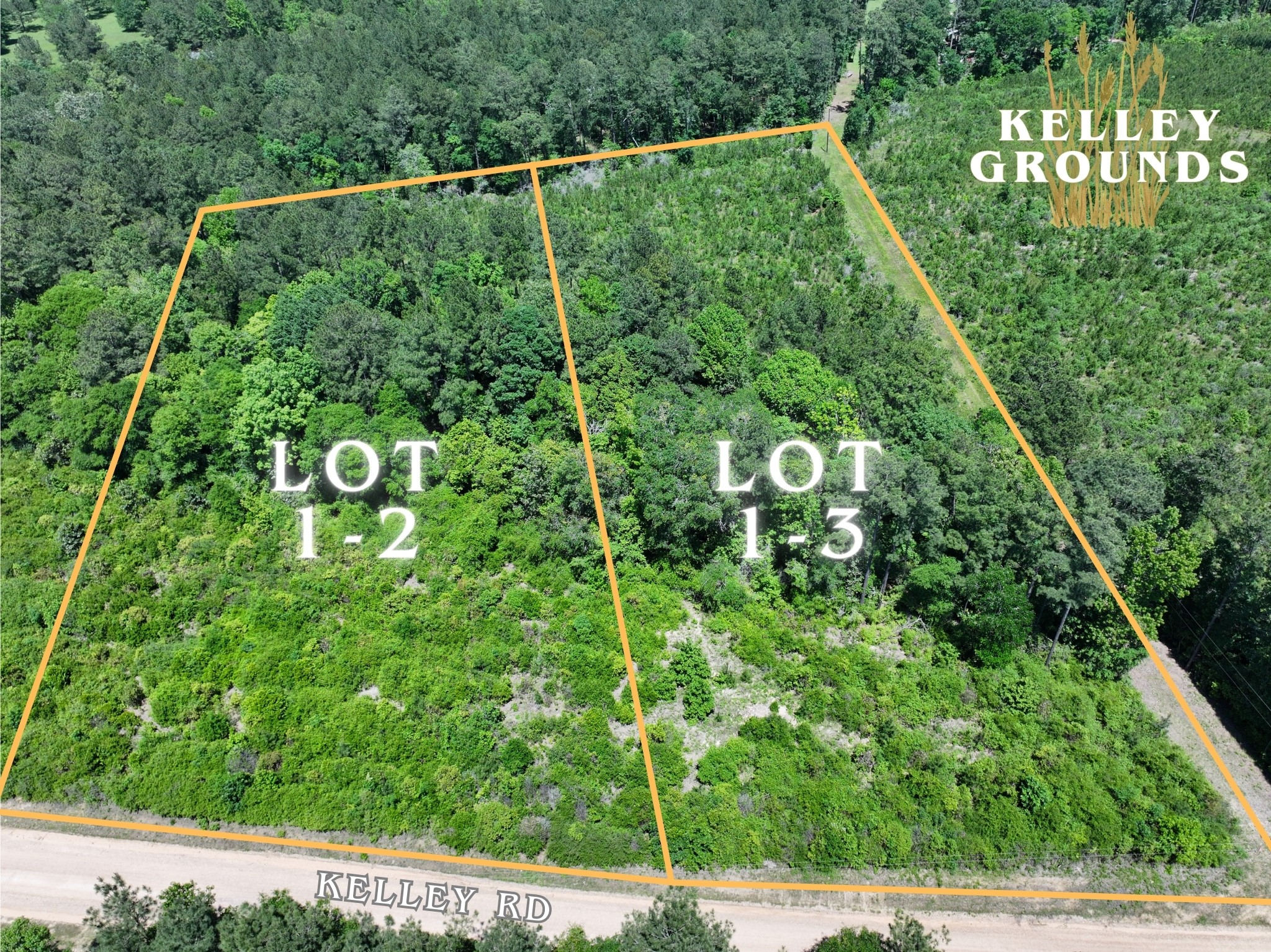 3-4 A A Kelly Road Livingston, TX 77351 - Photo 5 of 23