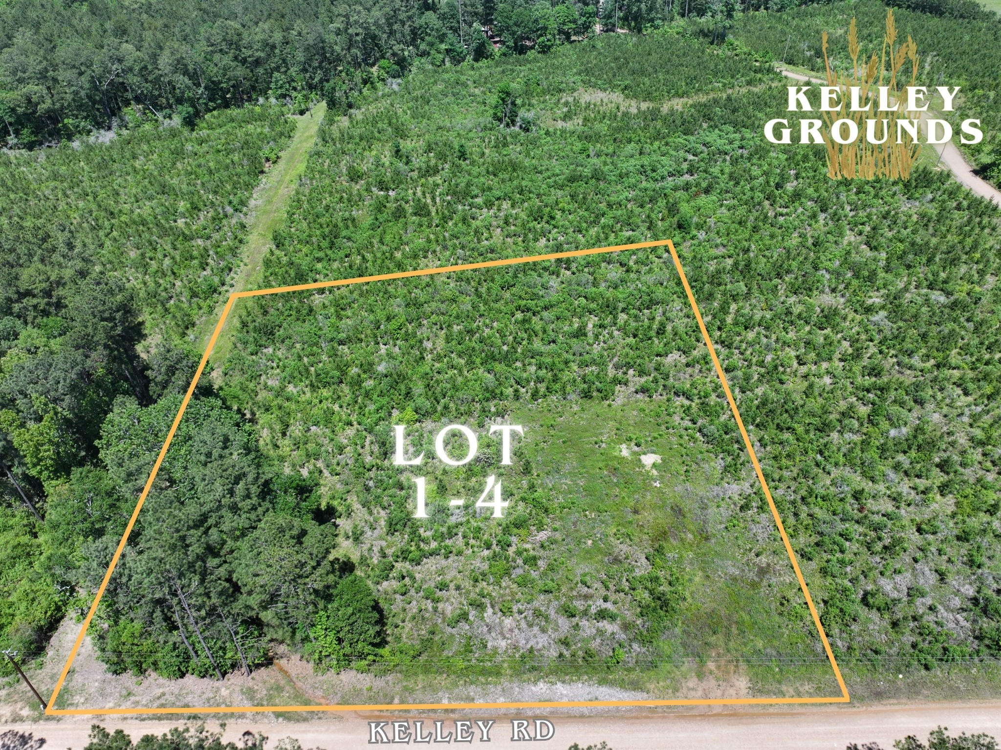 3-4 A A Kelly Road Livingston, TX 77351 - Photo 6 of 23