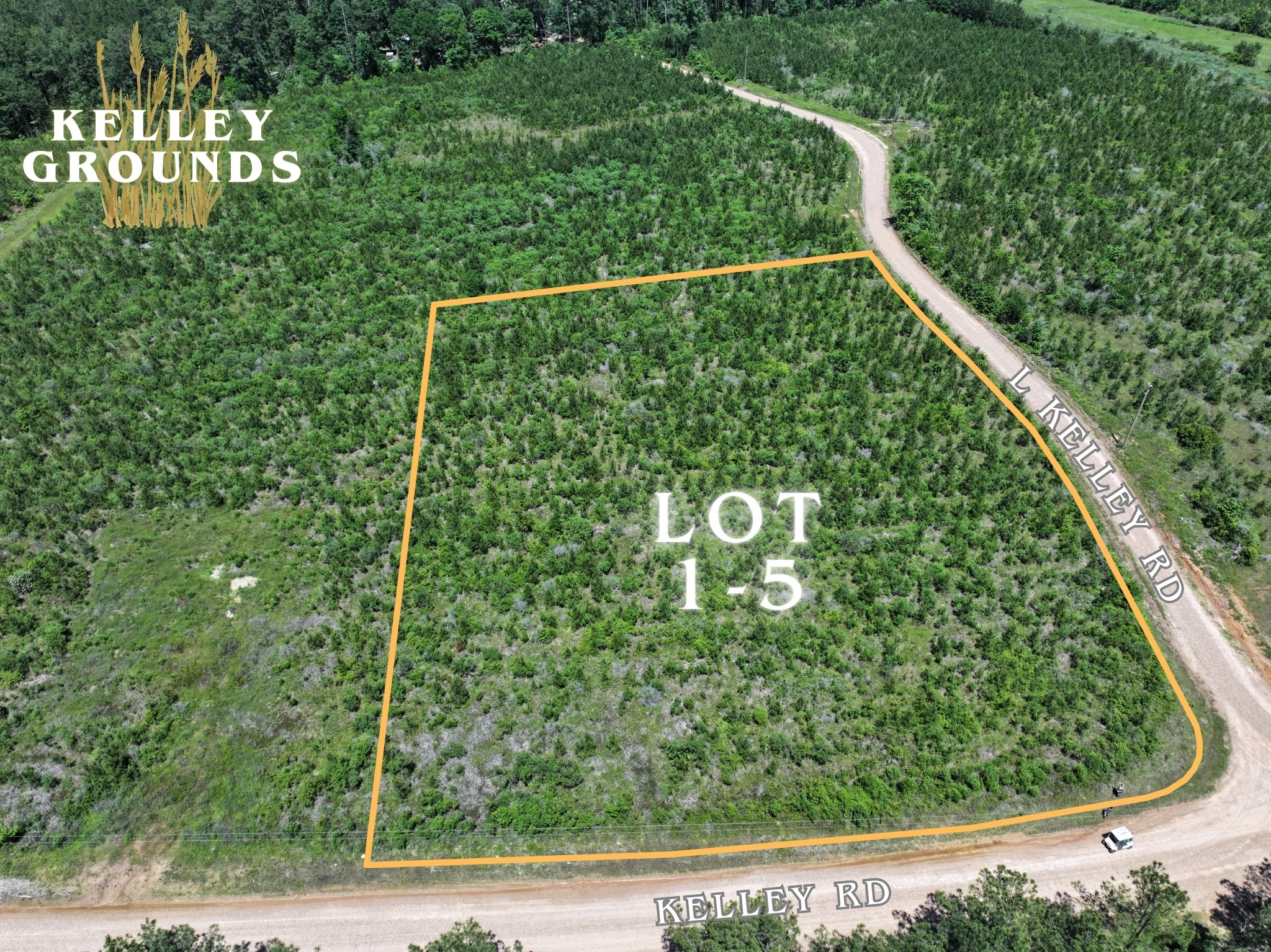 3-4 A A Kelly Road Livingston, TX 77351 - Photo 7 of 23