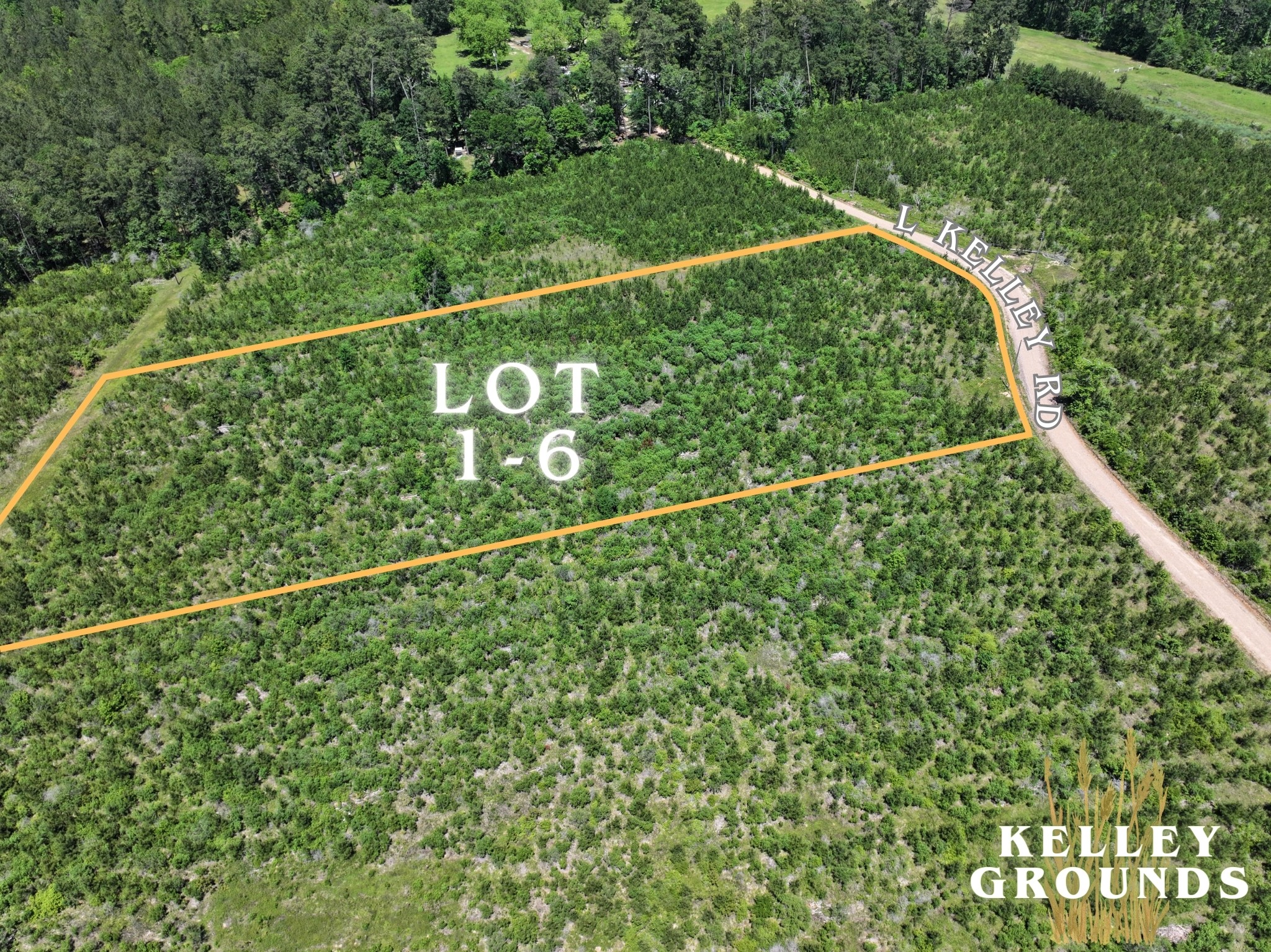 3-4 A A Kelly Road Livingston, TX 77351 - Photo 8 of 23