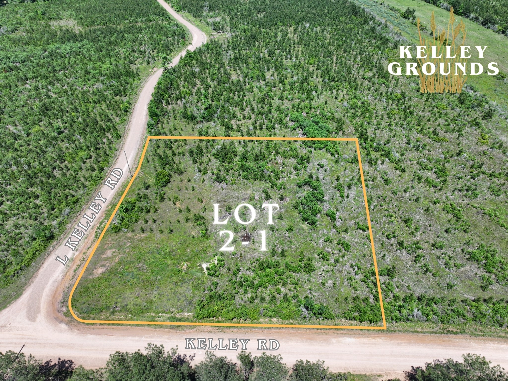 3-4 A A Kelly Road Livingston, TX 77351 - Photo 10 of 23