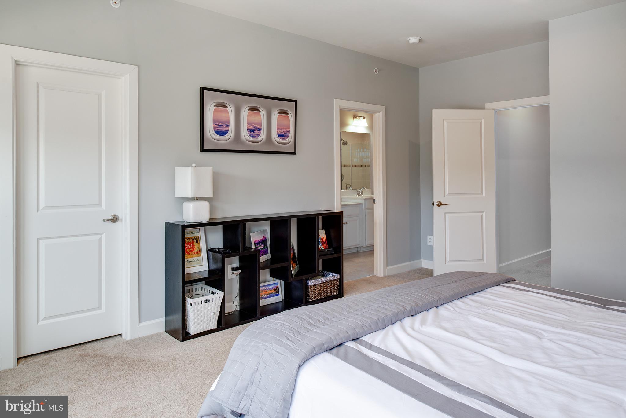 22170 Maple Tree Terrace Ashburn, VA 20148 - Photo 16 of 45 Owners Suite w/ Private Luxury Bath