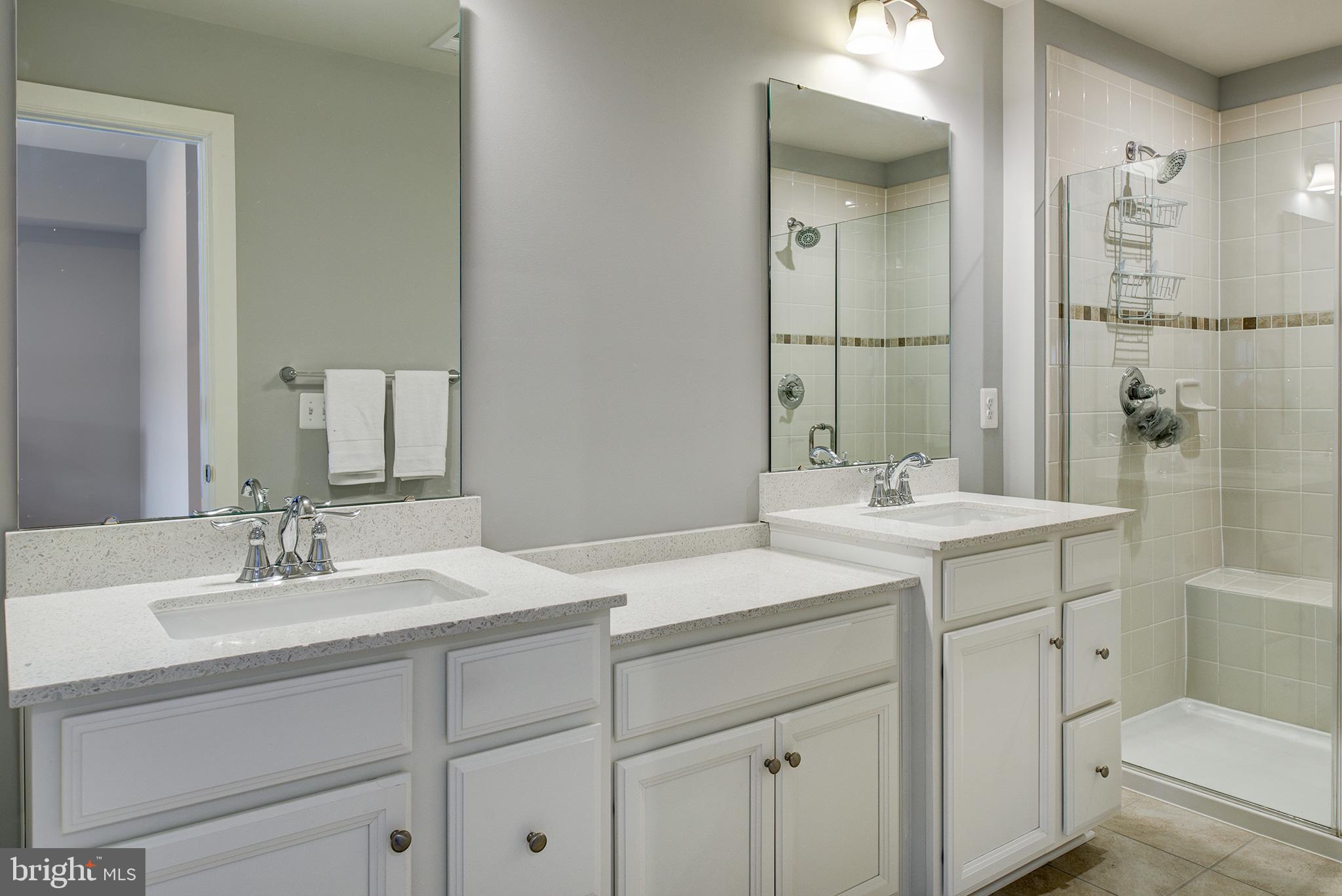 22170 Maple Tree Terrace Ashburn, VA 20148 - Photo 17 of 45 Luxury Bath, Large Shower with Dual Shower Heads