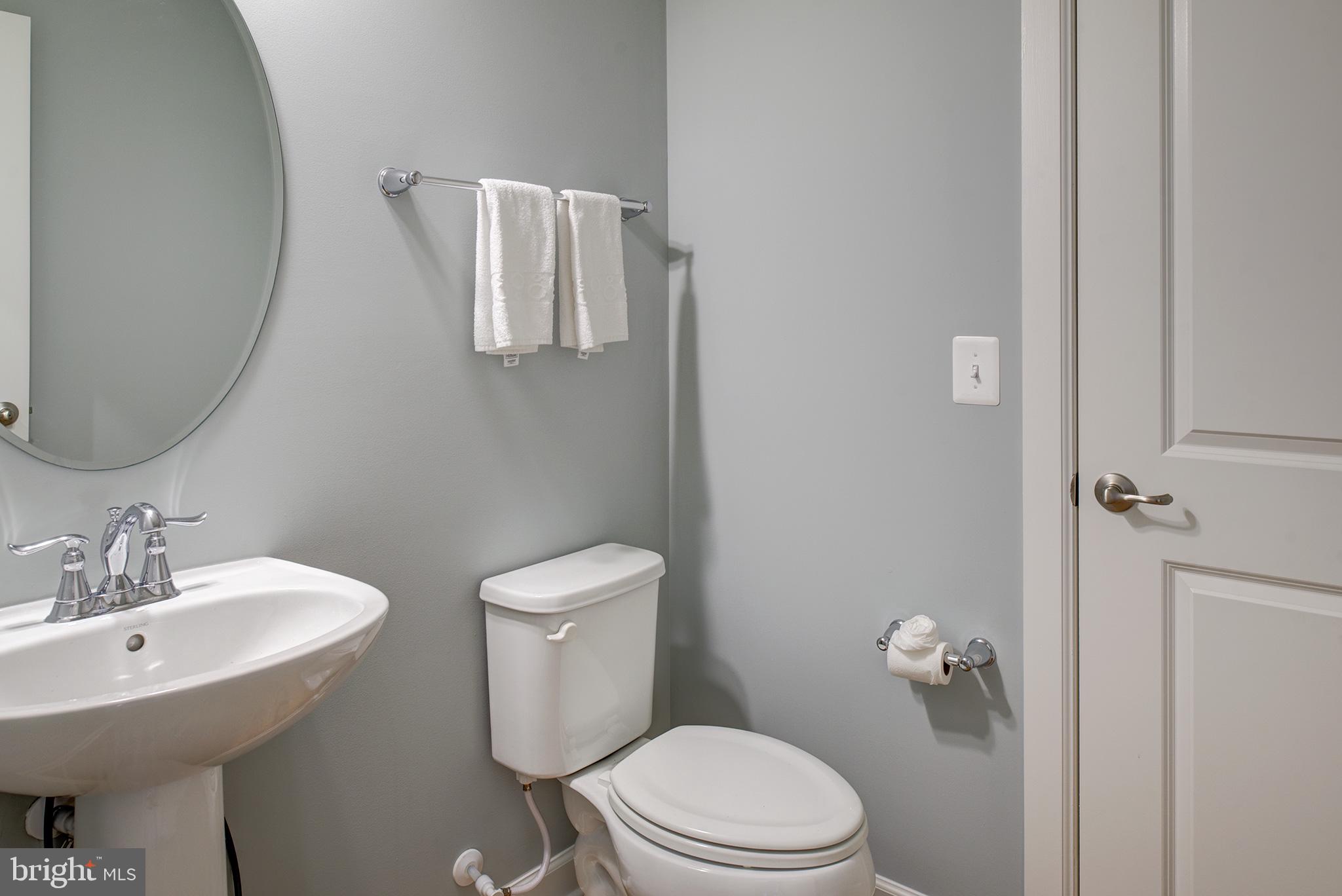 22170 Maple Tree Terrace Ashburn, VA 20148 - Photo 30 of 45 Main Level Powder Room