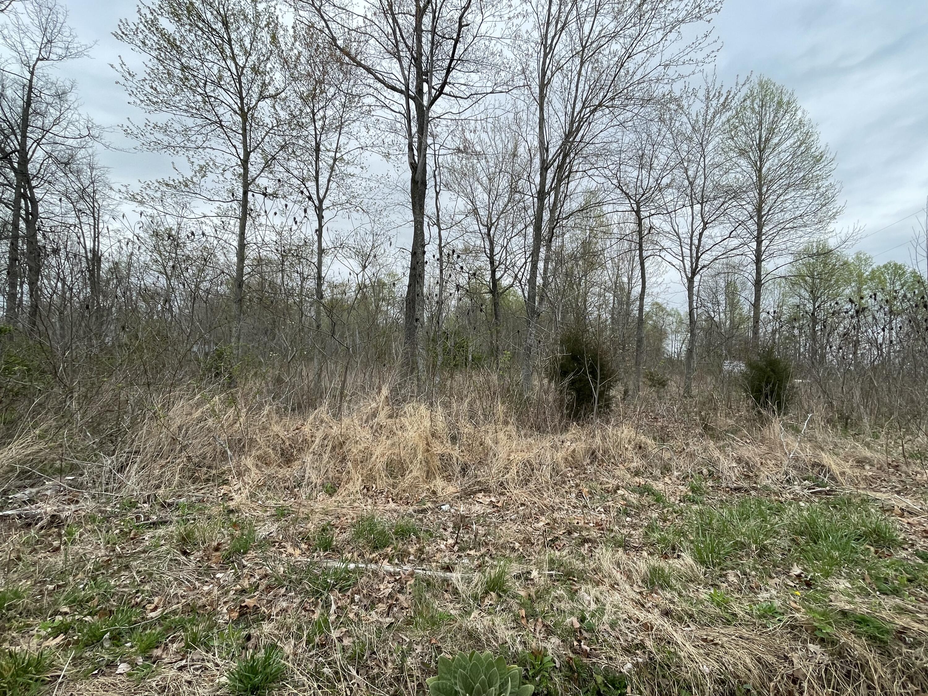 1326 Albright Mill Road Somerset, KY 42503 - Photo 2 of 16 6E9F6075-4492-45CB-B8BE-7E6E846479F1