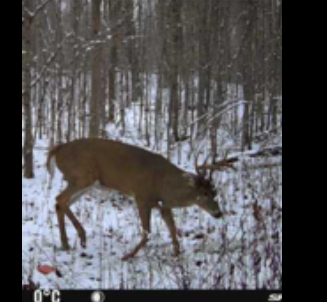 W5215 West Hackett Road Prentice, WI 54556 - Photo 13 of 26