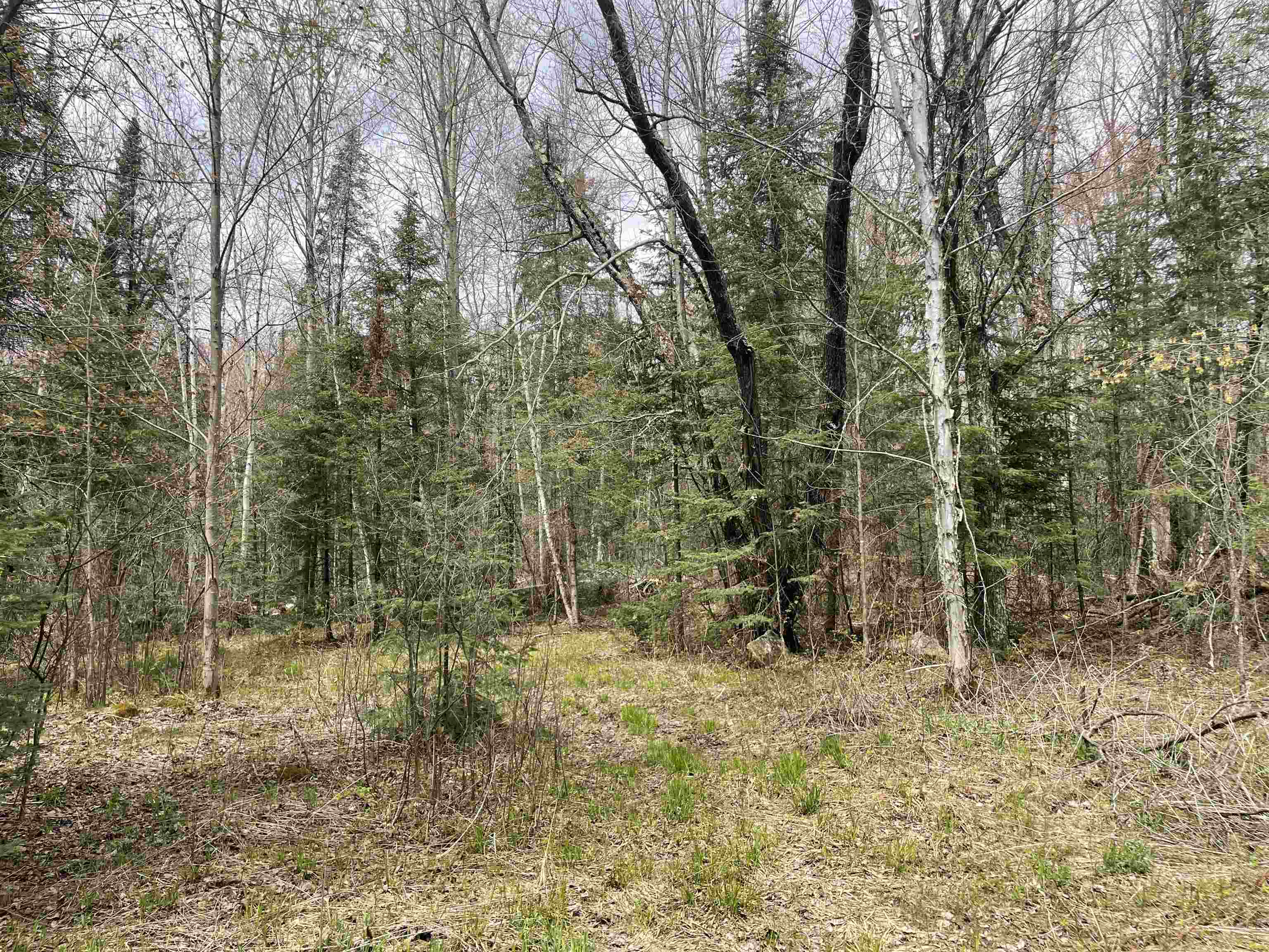 W5215 West Hackett Road Prentice, WI 54556 - Photo 15 of 26