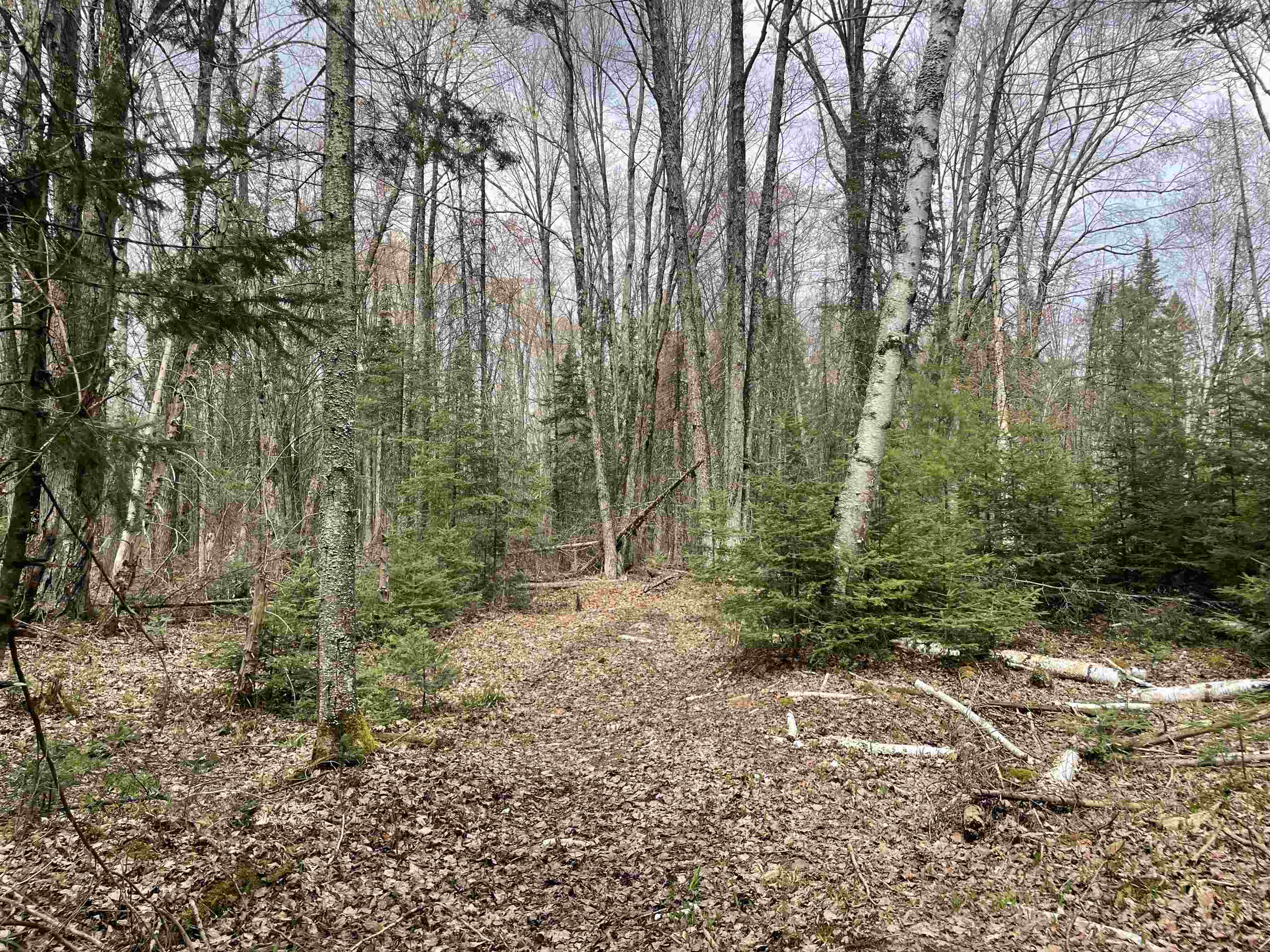 W5215 West Hackett Road Prentice, WI 54556 - Photo 17 of 26