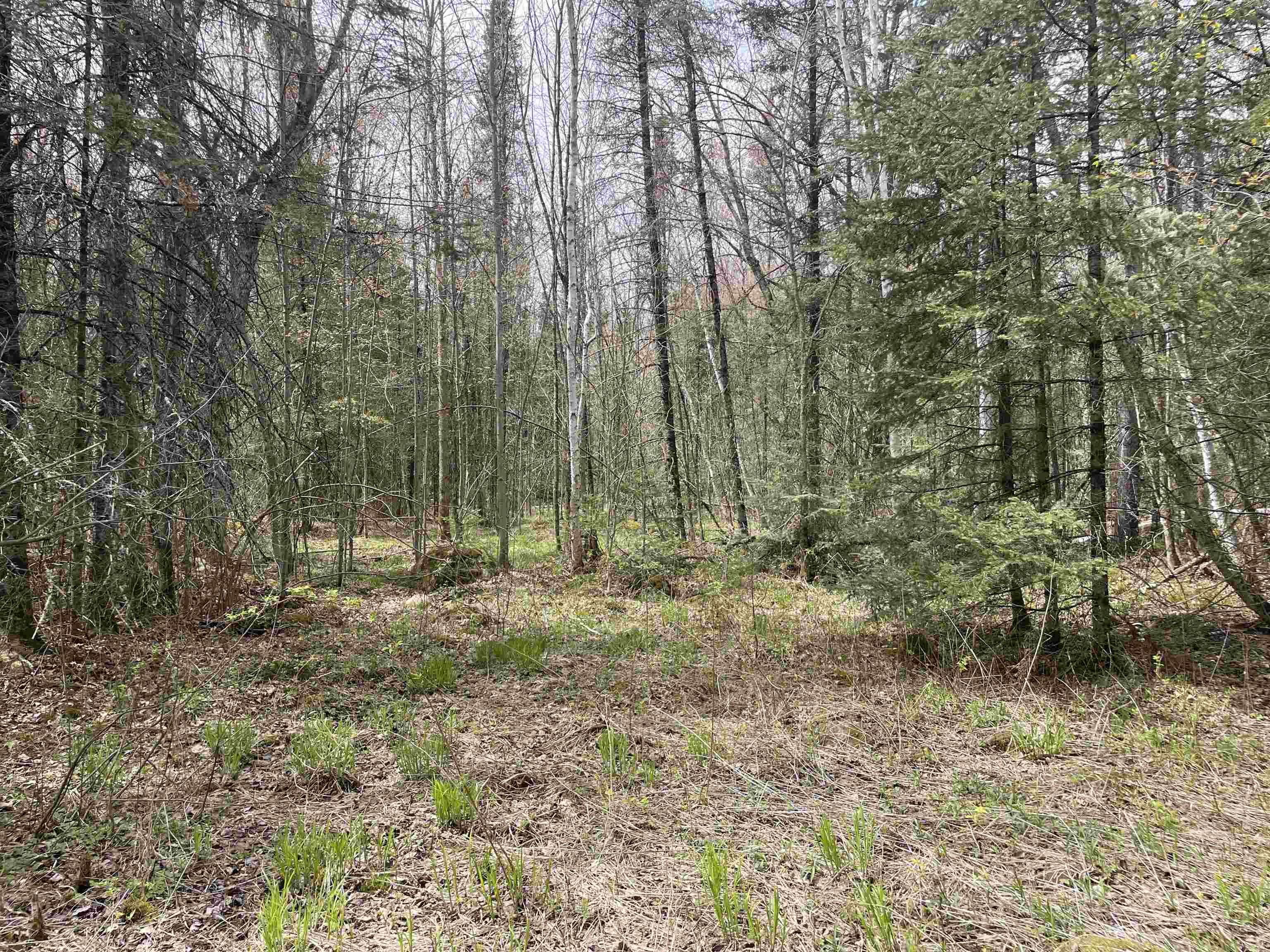 W5215 West Hackett Road Prentice, WI 54556 - Photo 18 of 26