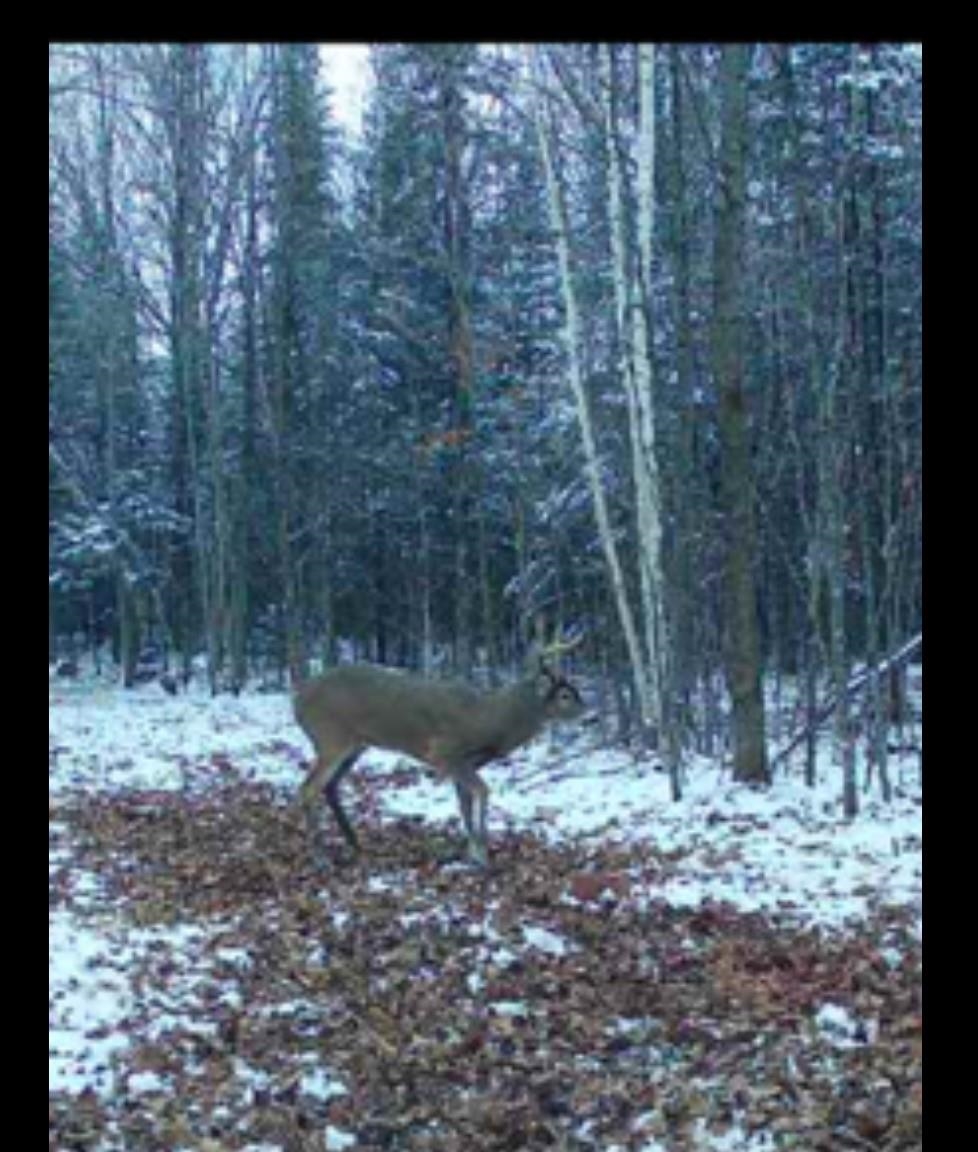 W5215 West Hackett Road Prentice, WI 54556 - Photo 19 of 26