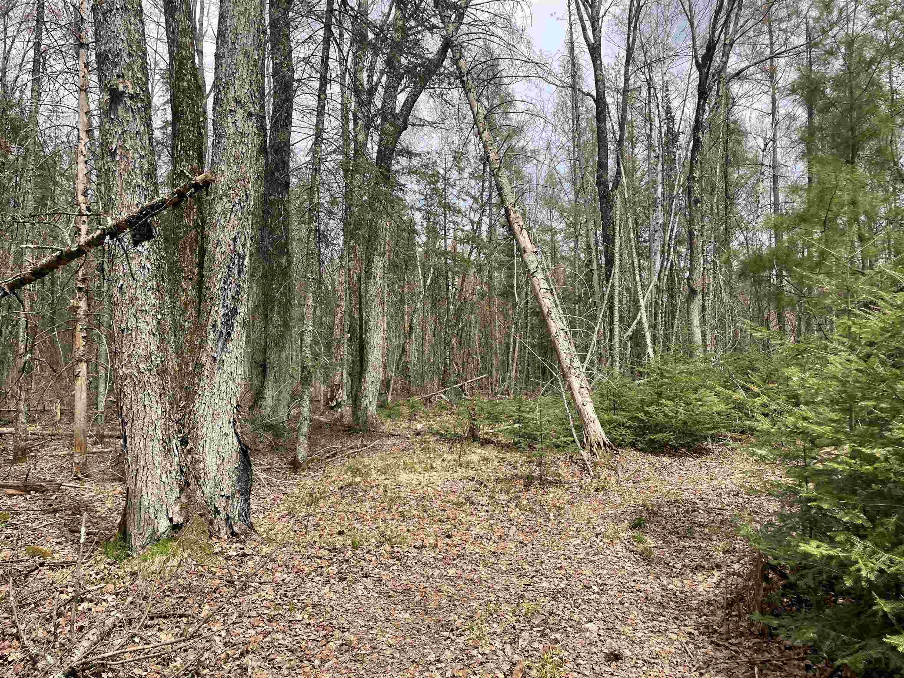 W5215 West Hackett Road Prentice, WI 54556 - Photo 20 of 26