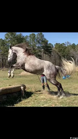 $875,000 | 2725 Southfork Road, Green Sea, SC 29545