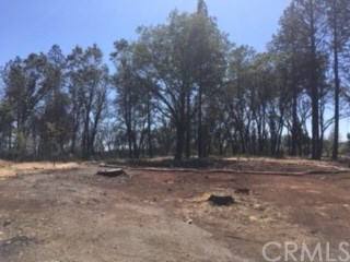1364 Bennett Road Paradise, CA 95969 - Photo 1 of 1 Gallery Image 1