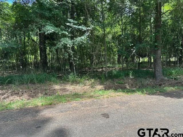 a view of lake background with tree