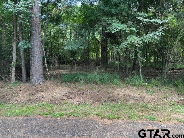 0 Flaming Tree Way Flint, TX 75762 - Photo 2 of 3 a view of a forest with a tree