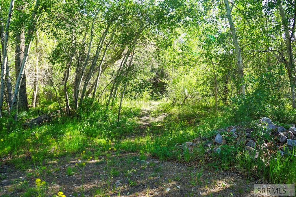 5479 Challis Creek Road Challis, ID 83226 - Photo 28 of 41