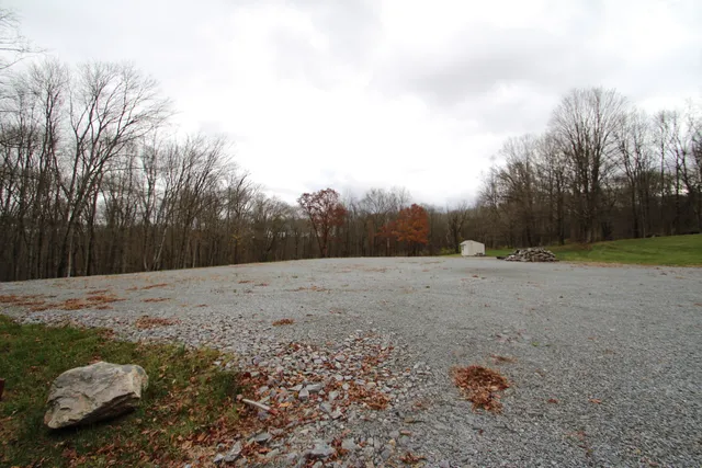 a view of a backyard