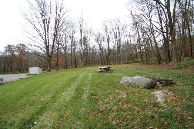 a view of a backyard with large trees