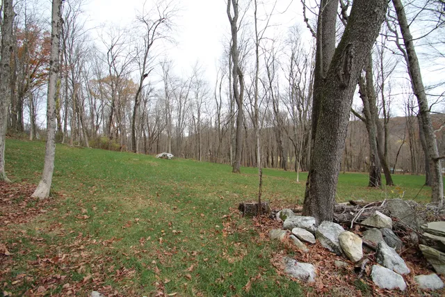 a view of backyard with green space
