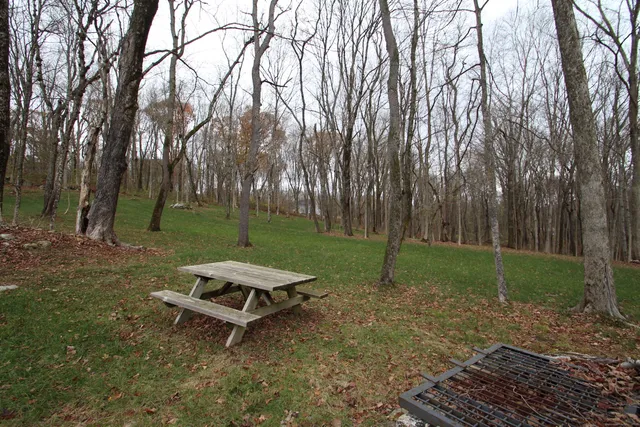 a view of a park with large trees