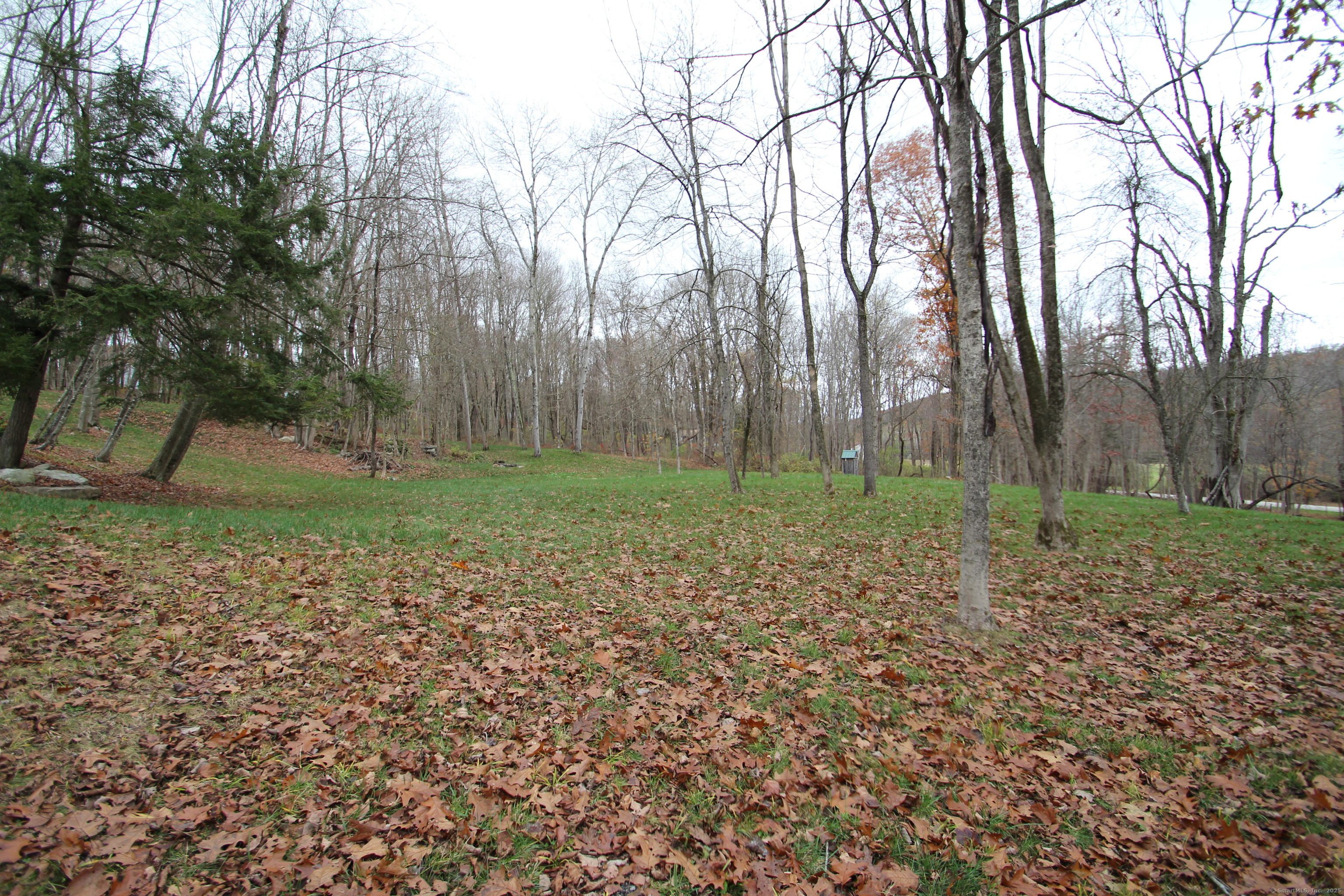 408 Fitchville Road Bozrah, CT 06334 - Photo 9 of 14 a view of a garden with trees