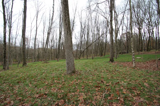 a view of outdoor space with trees