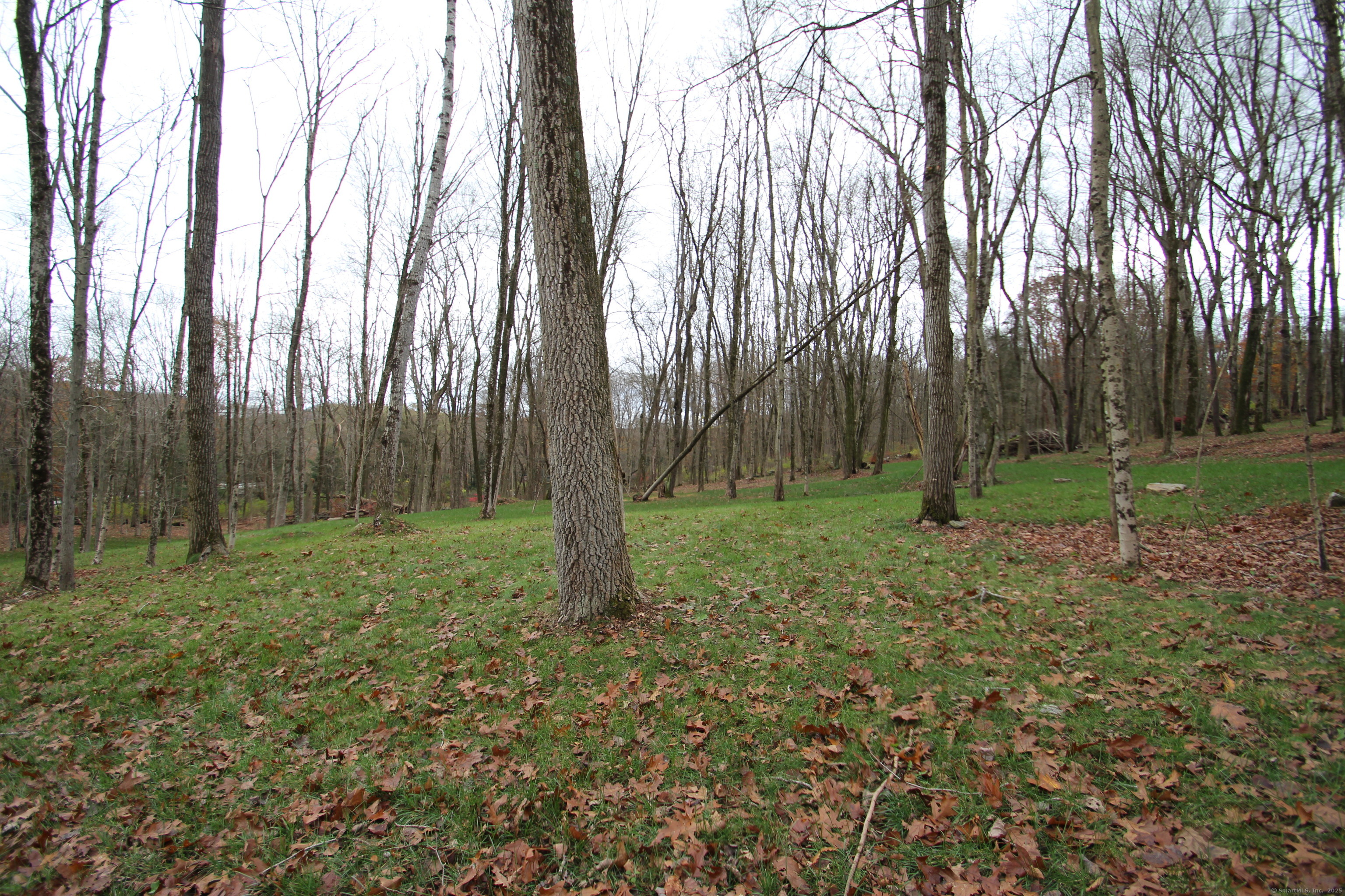 408 Fitchville Road Bozrah, CT 06334 - Photo 10 of 14 a view of outdoor space with trees