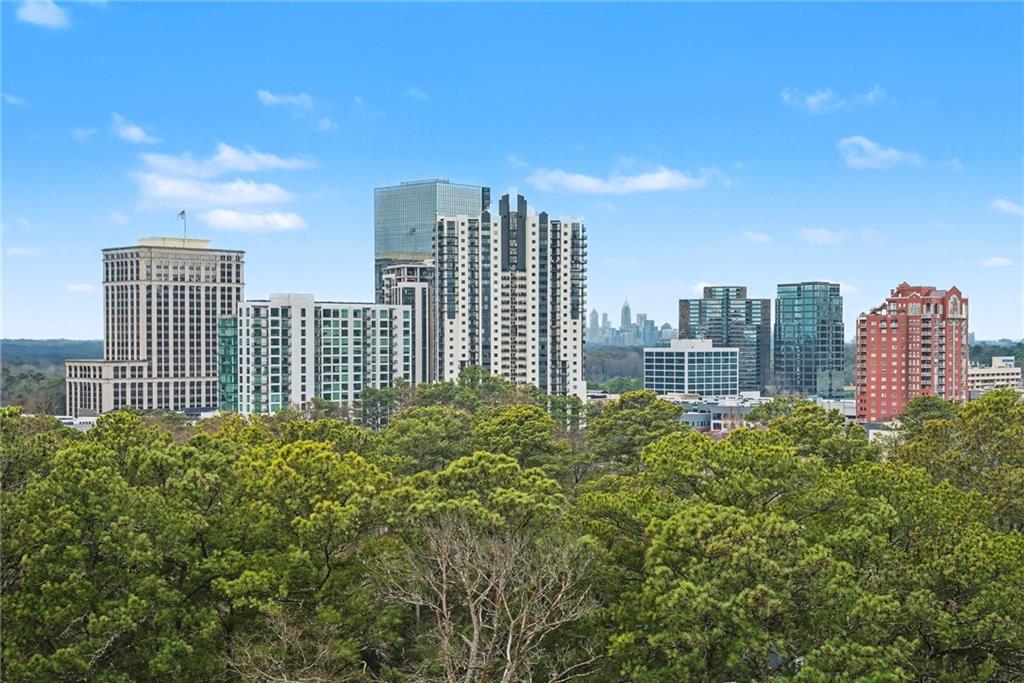 3657 Peachtree Road Northeast, Unit 9A Atlanta, GA 30319 - Photo 8 of 66