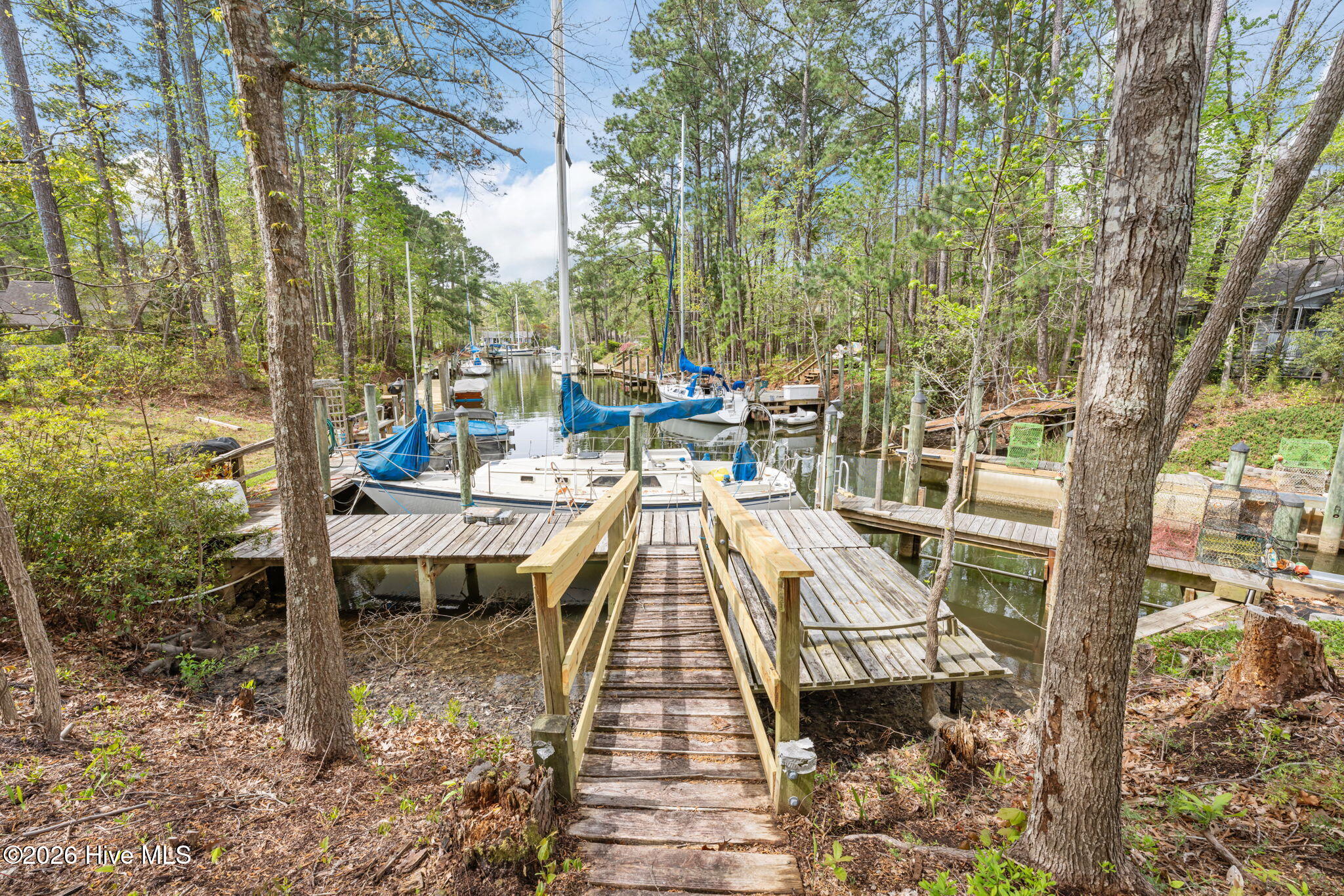 106 Whittaker Point Road Oriental, NC 28571 - Photo 3 of 46 51-web-or-mls-DSC_8910