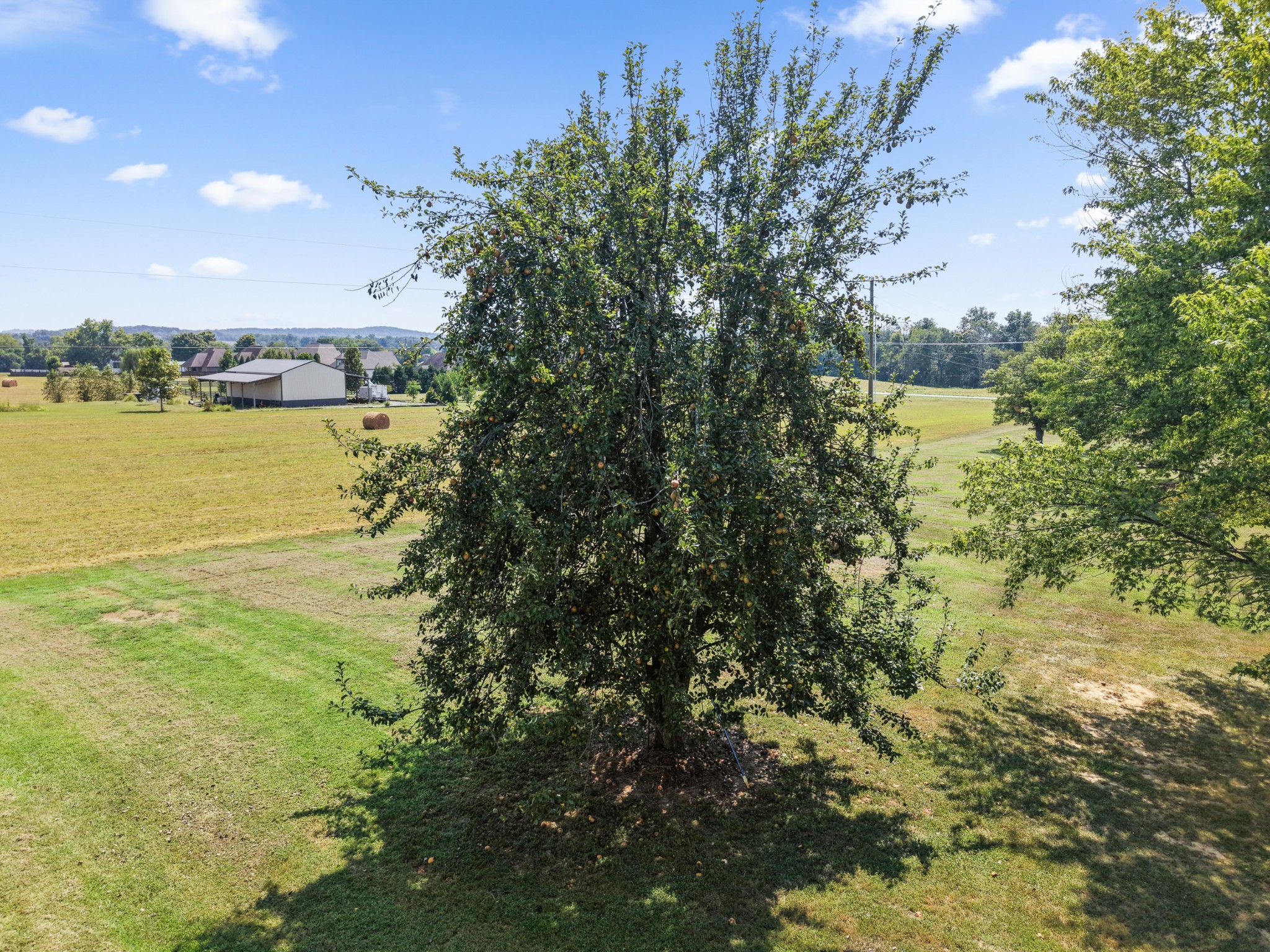625 Double Log Cabin Road Lebanon, TN 37087 - Photo 14 of 82 Gallery Image 14