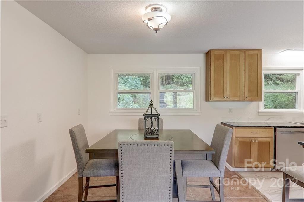 203 Mountain View Road Marion, NC 28752 - Photo 15 of 47 Gallery Image 15