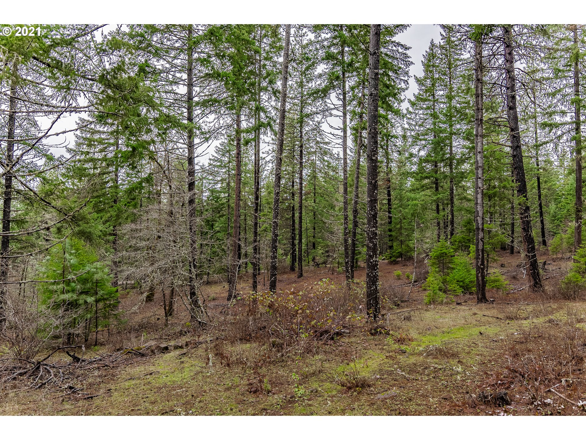 Lyons Road, Unit 2 White Salmon, WA 98672 - Photo 13 of 24 Gallery Image 13