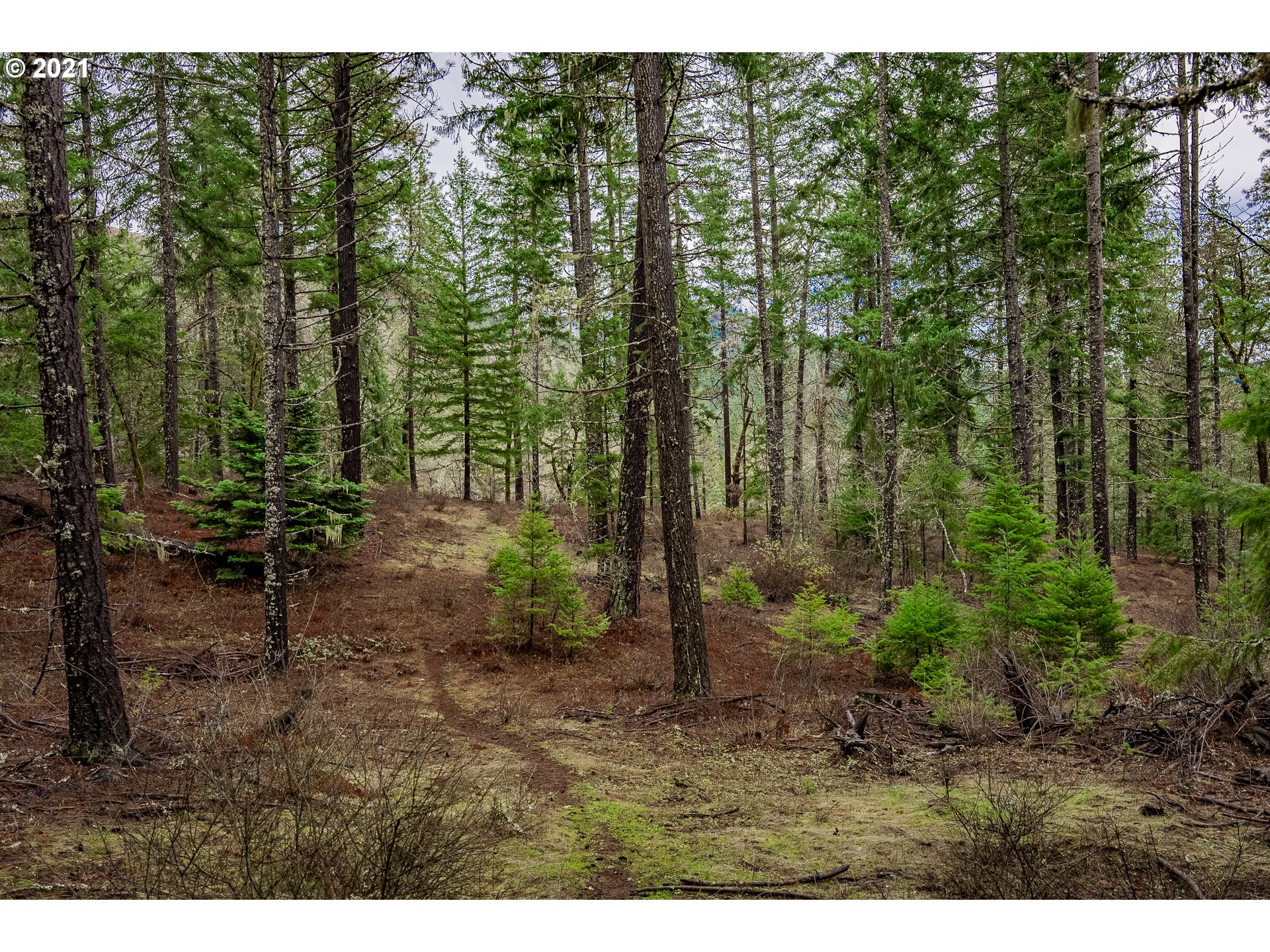 Lyons Road, Unit 2 White Salmon, WA 98672 - Photo 15 of 24 Gallery Image 15