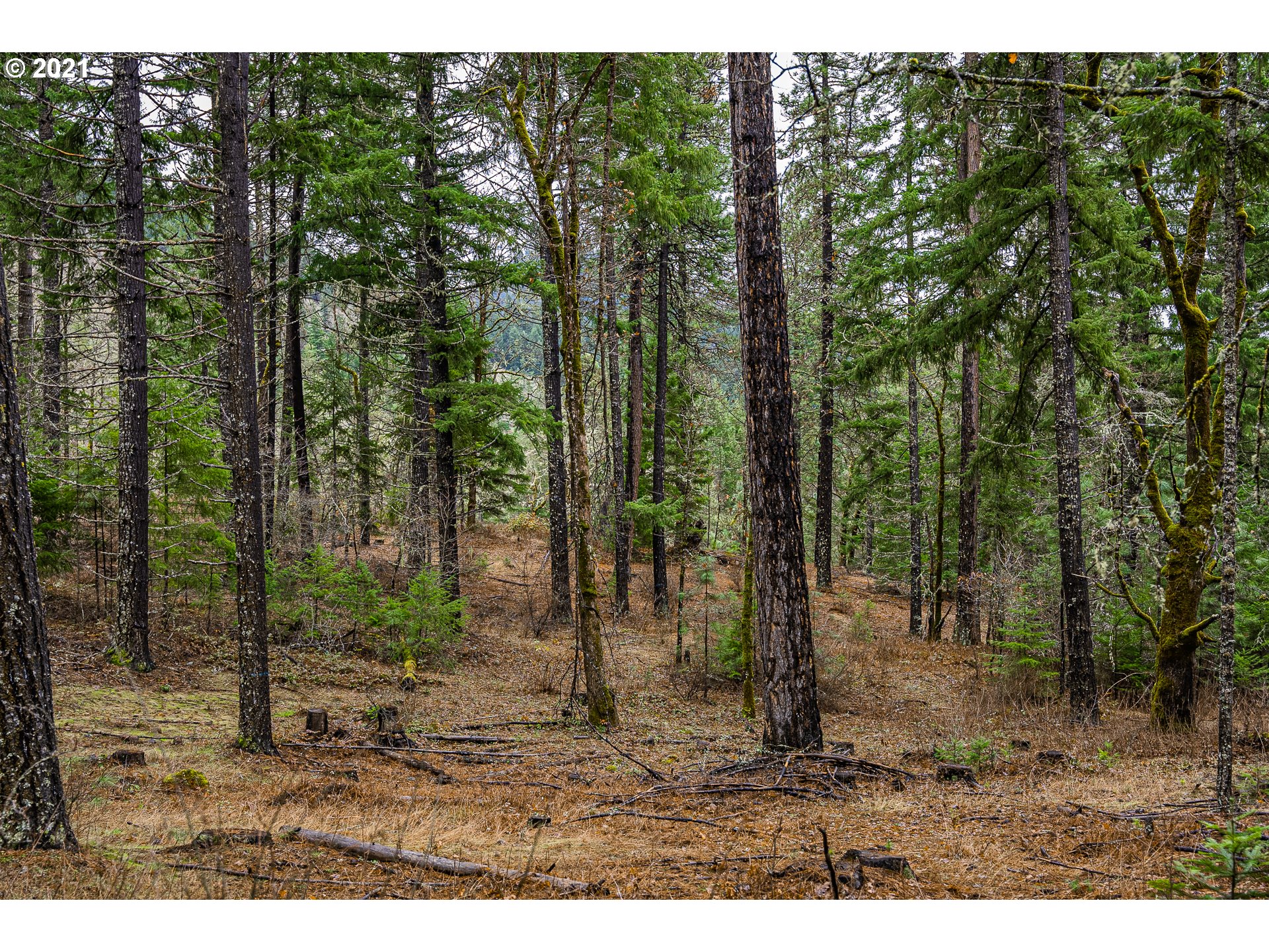 Lyons Road, Unit 2 White Salmon, WA 98672 - Photo 16 of 24 Gallery Image 16
