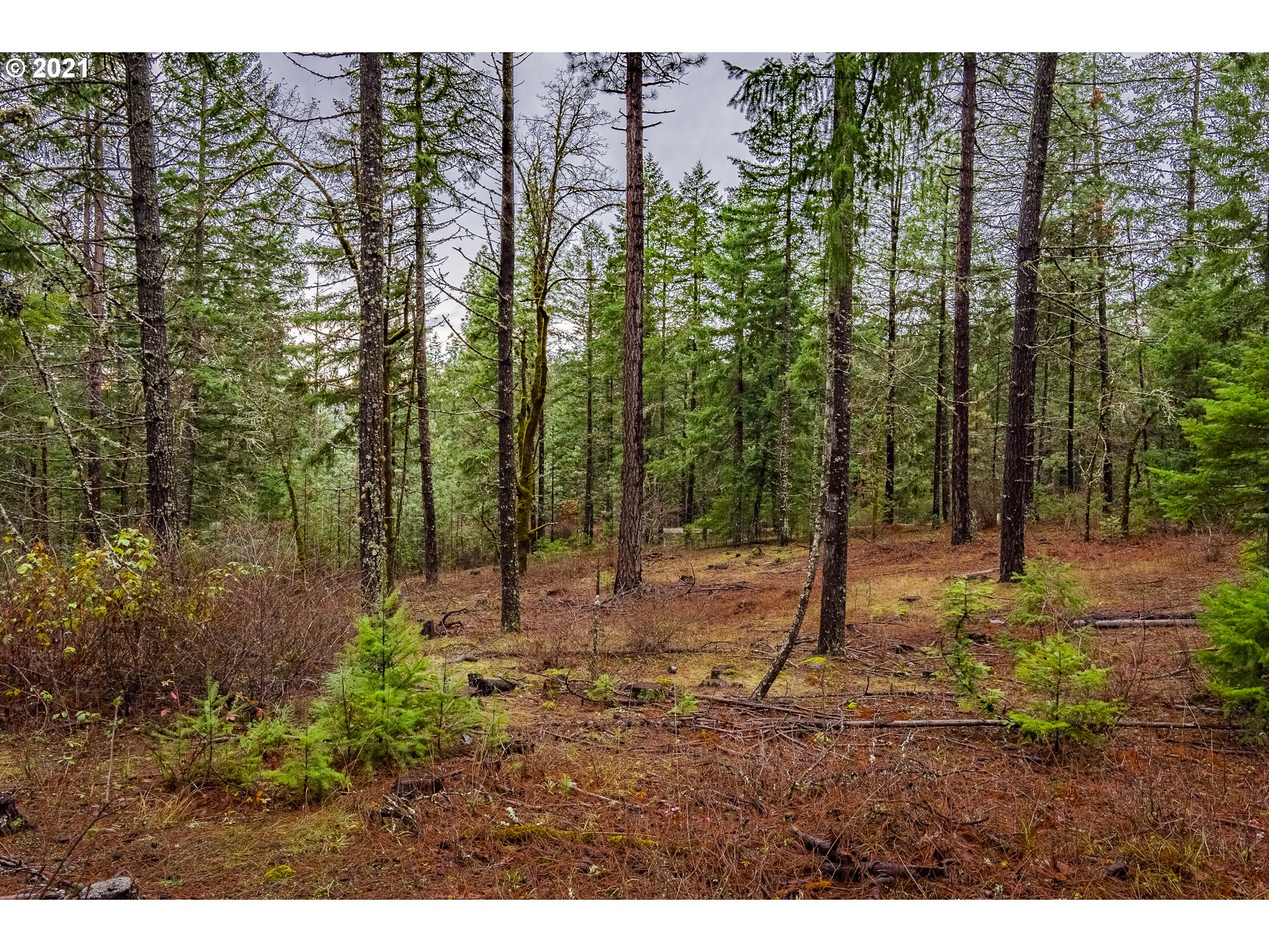 Lyons Road, Unit 2 White Salmon, WA 98672 - Photo 6 of 24 Gallery Image 6