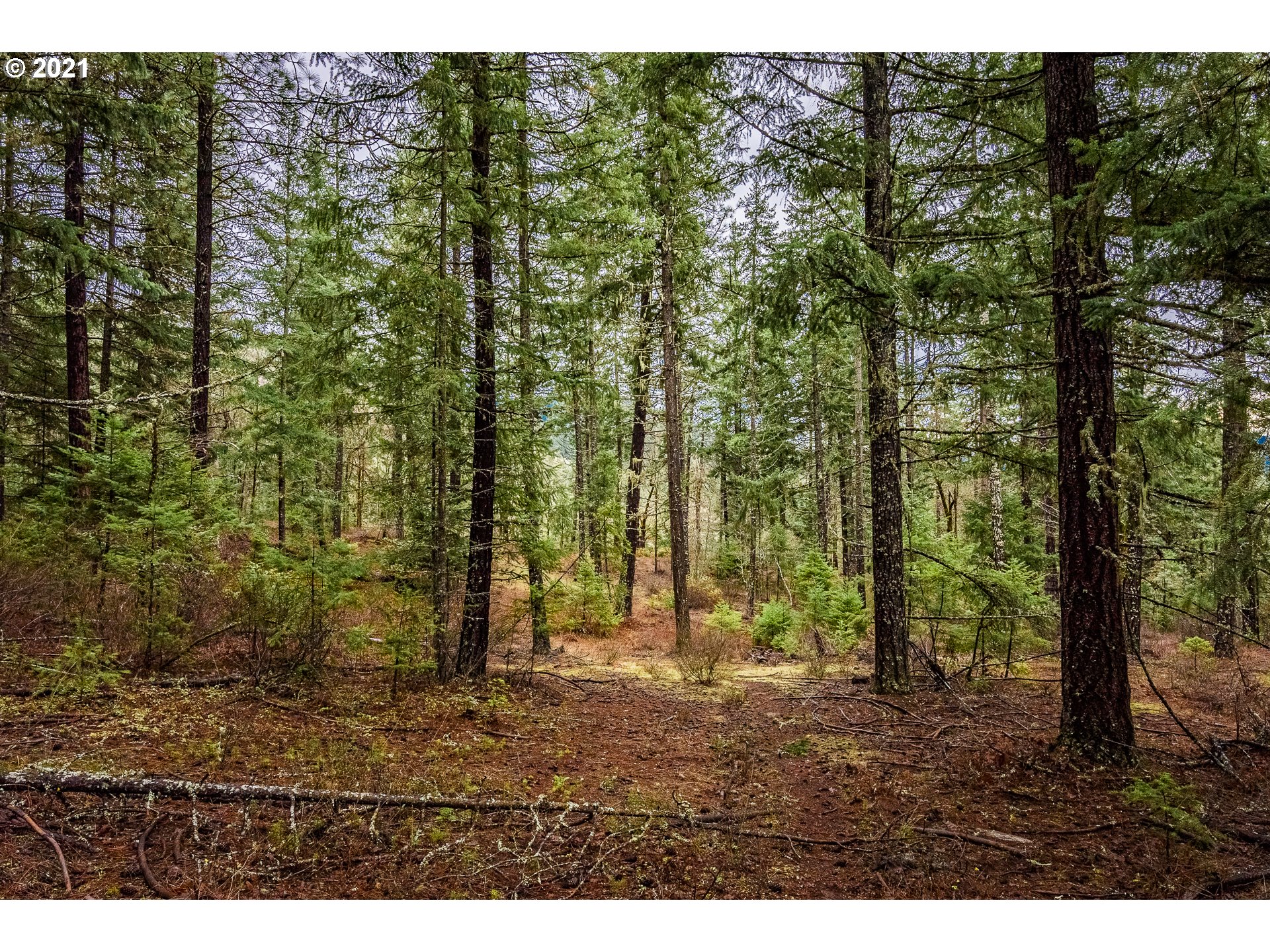 Lyons Road, Unit 2 White Salmon, WA 98672 - Photo 7 of 24 Gallery Image 7