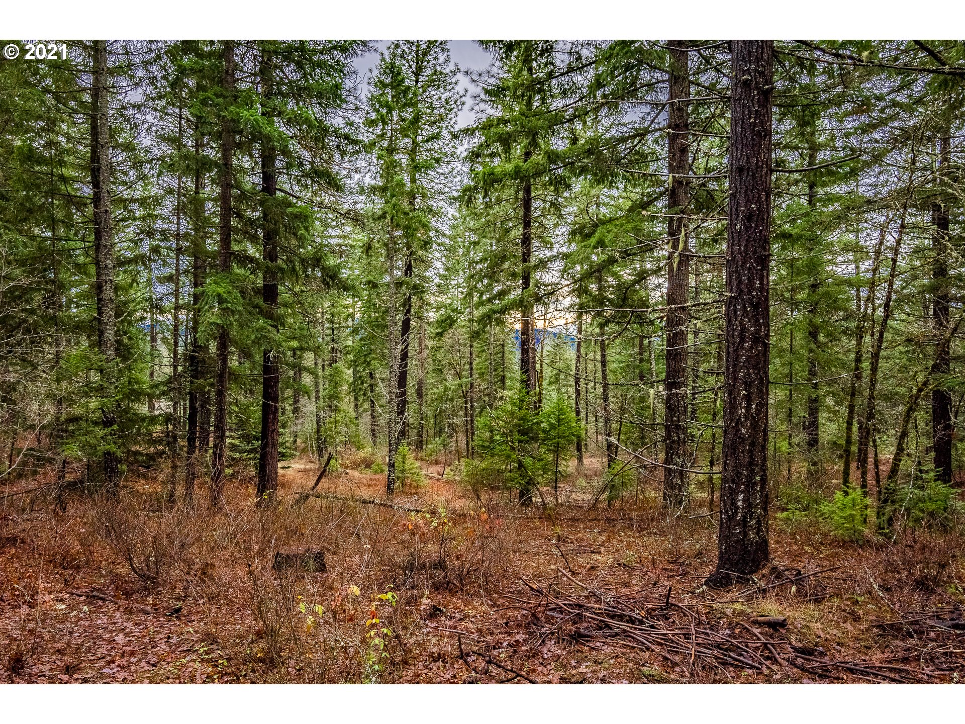 Lyons Road, Unit 2 White Salmon, WA 98672 - Photo 8 of 24 Gallery Image 8