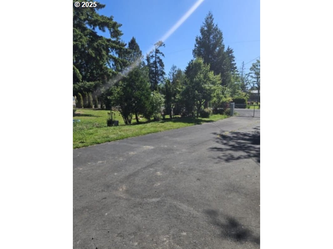 350 Streeter Road Silverlake, WA 98645 - Photo 21 of 28 Gallery Image 21