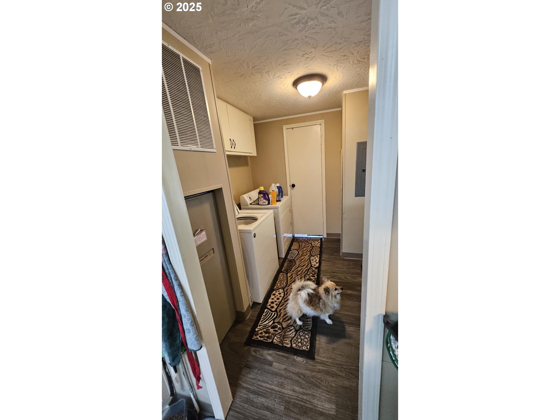 350 Streeter Road Silverlake, WA 98645 - Photo 10 of 28 Gallery Image 10