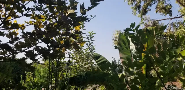 $3,000 | 2638 Mangrove Way, Riverside, CA 92506