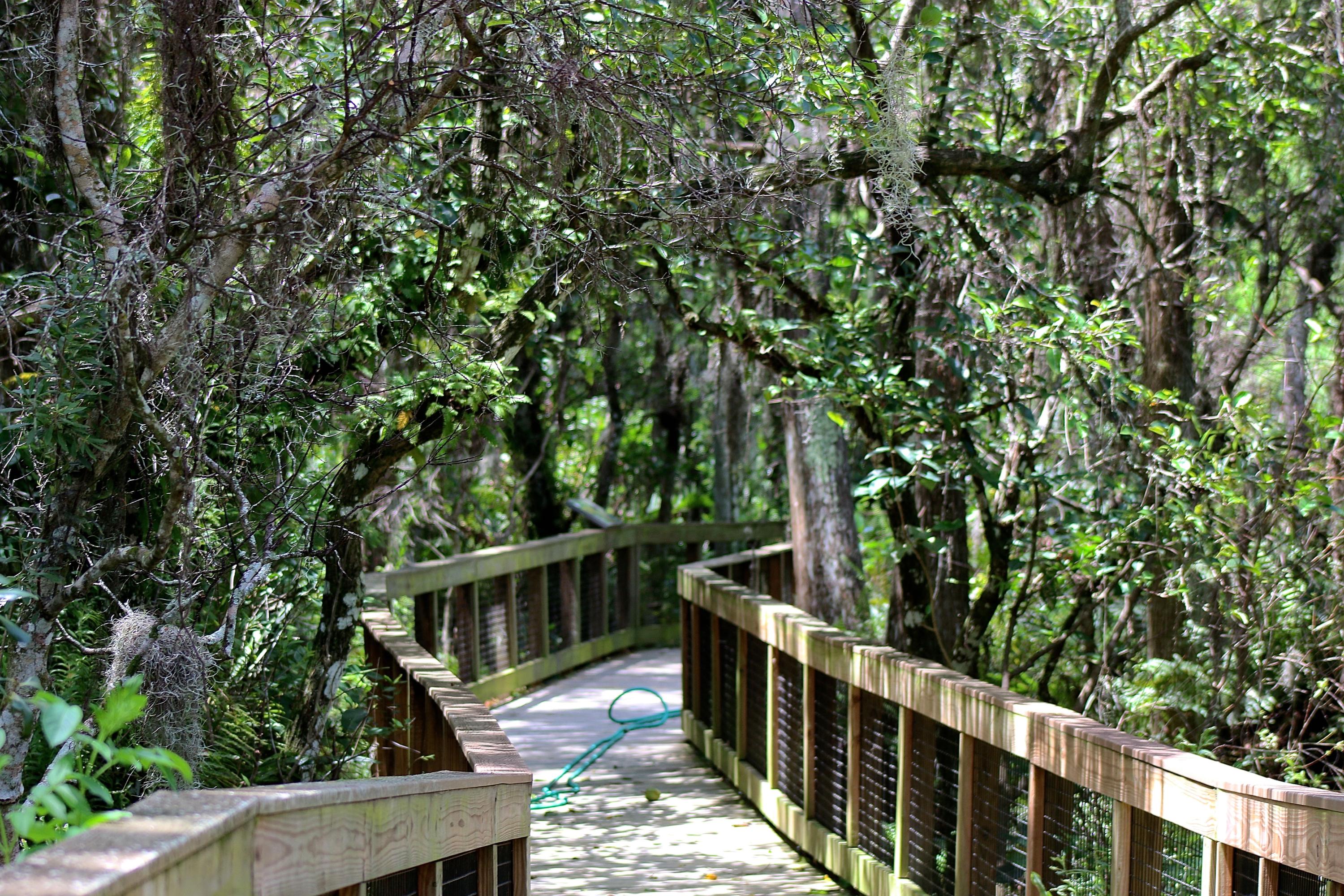 8841 First Tee Road Port St. Lucie, FL 34986 - Photo 131 of 228 267 Cypress Swamp #2