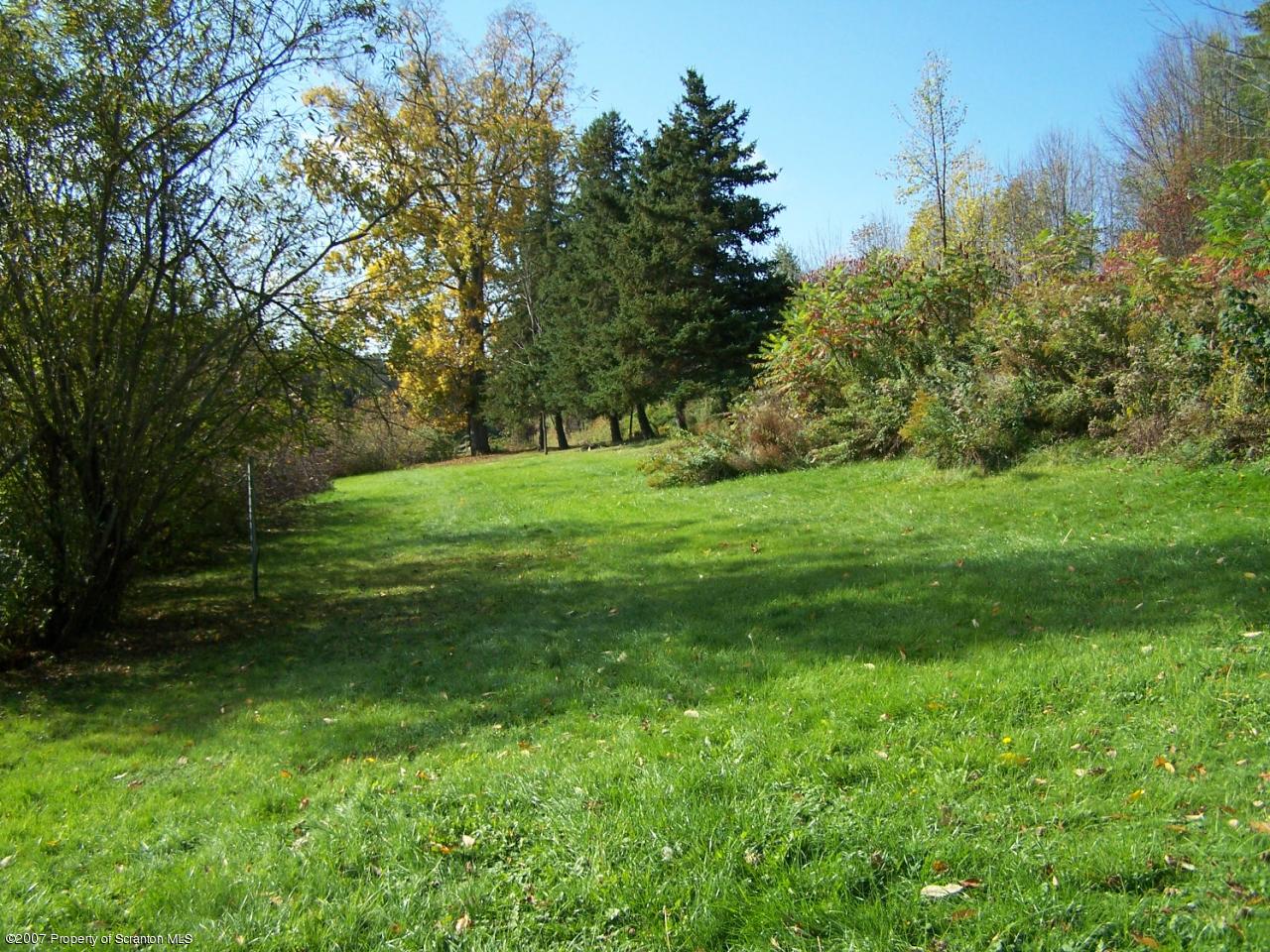 1624 Mack Road Hop Bottom, PA 18824 - Photo 3 of 8 a view of a grassy field with trees